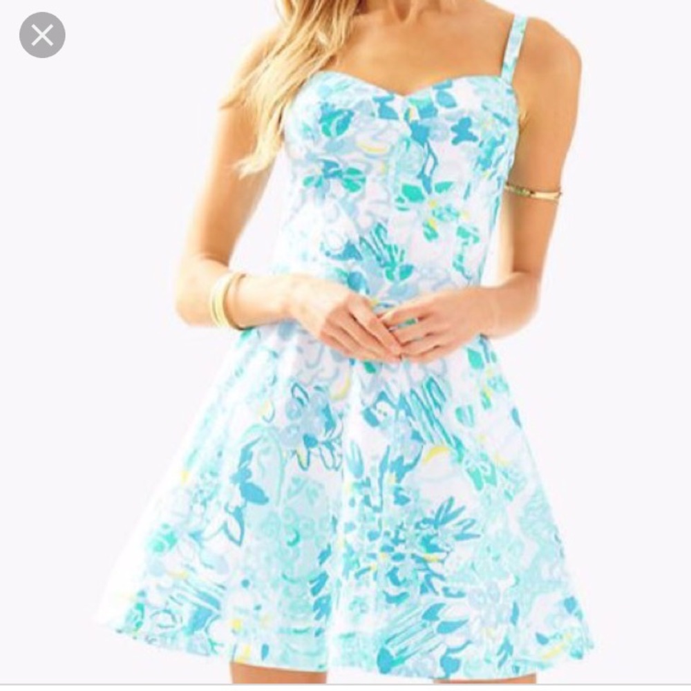 NWT Lilly Pulitzer Willow dress in a pinch $178
